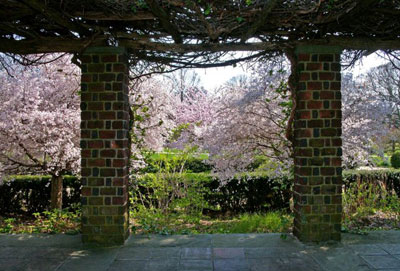 THE-GARDEN-OF-DELIGHT