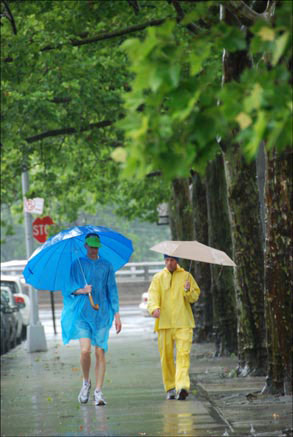 rain-alakananda Rain